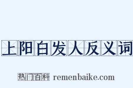 上阳白发人反义词是什么意思的图片